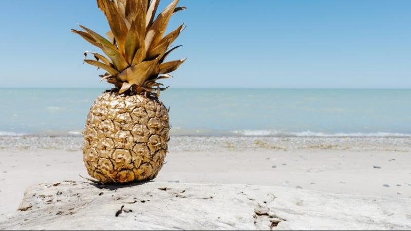 Gouden ananas