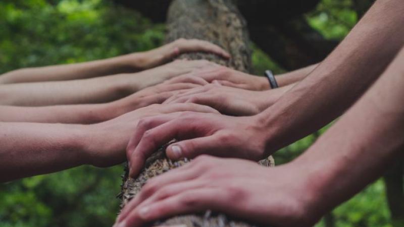 Groepsbehandeling