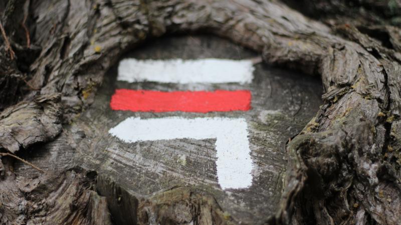 Zelfevaluatie voor keurmerkdragers 2020