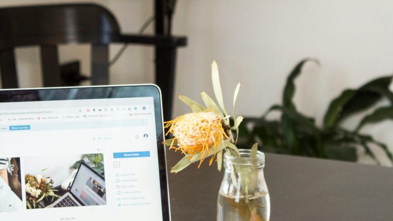 Transparante website 