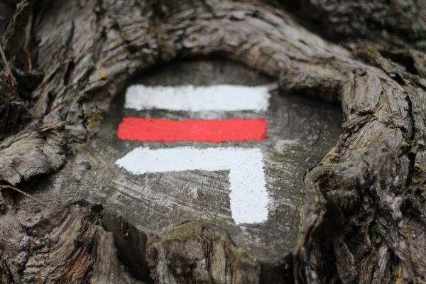Zelfevaluatie voor keurmerkdragers 2020